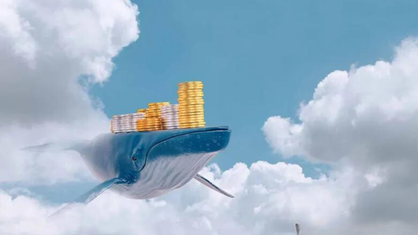 Crypto Whales Flocking